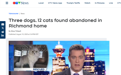Three dogs, 12 cats found abandoned in Richmond home