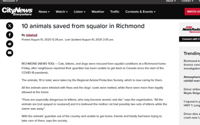 10 animals saved from squalor in Richmond