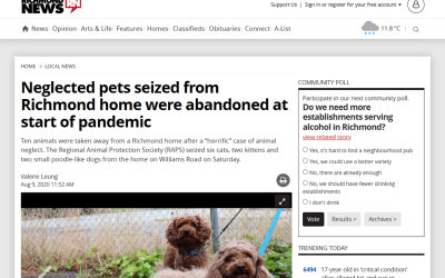 Neglected pets seized from Richmond home were abandoned at start of pandemic