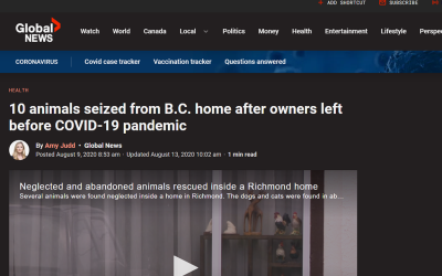 10 animals seized from B.C. home after owners left before COVID-19 pandemic