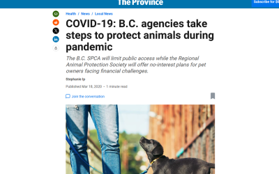 COVID-19: B.C. agencies take steps to protect animals during pandemic