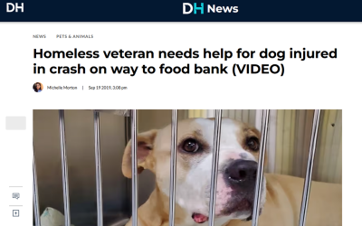 Homeless veteran needs help for dog injured in crash on way to food bank