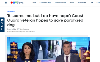 ‘It scares me, but I do have hope’: Coast Guard veteran hopes to save paralyzed dog