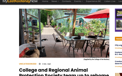 College and Regional Animal Protection Society team up to rehome feral cats