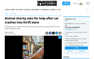 Animal charity asks for help after car crashes into thrift store