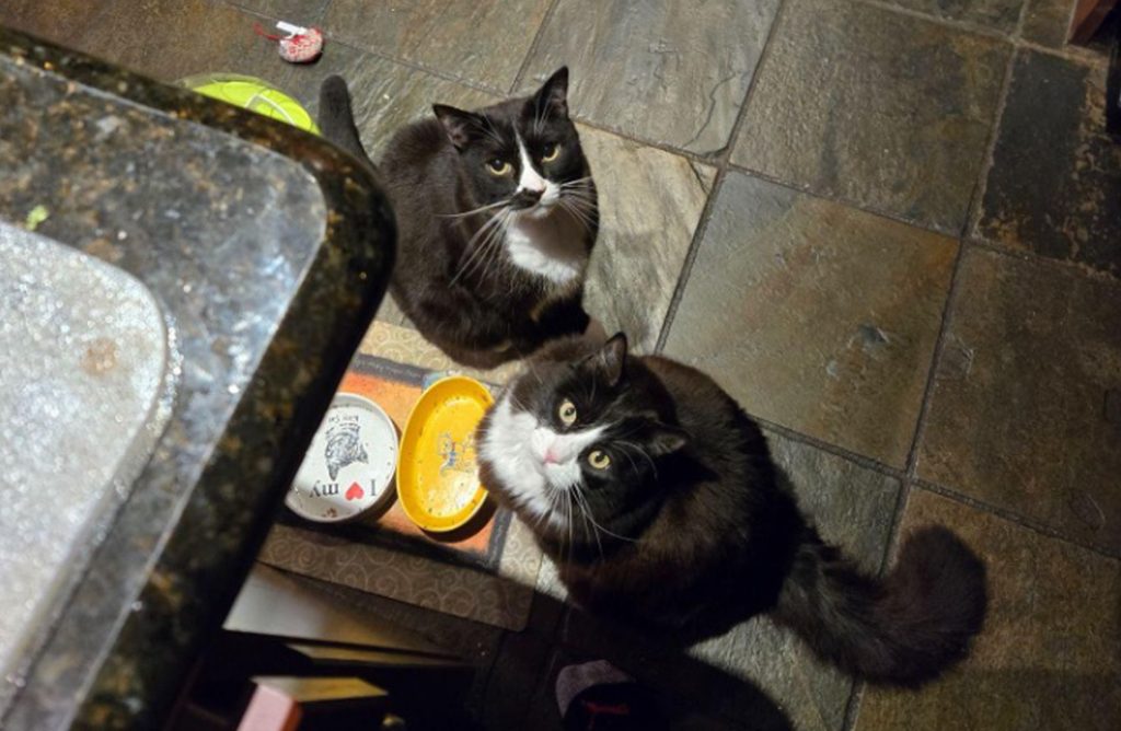 jet and susie