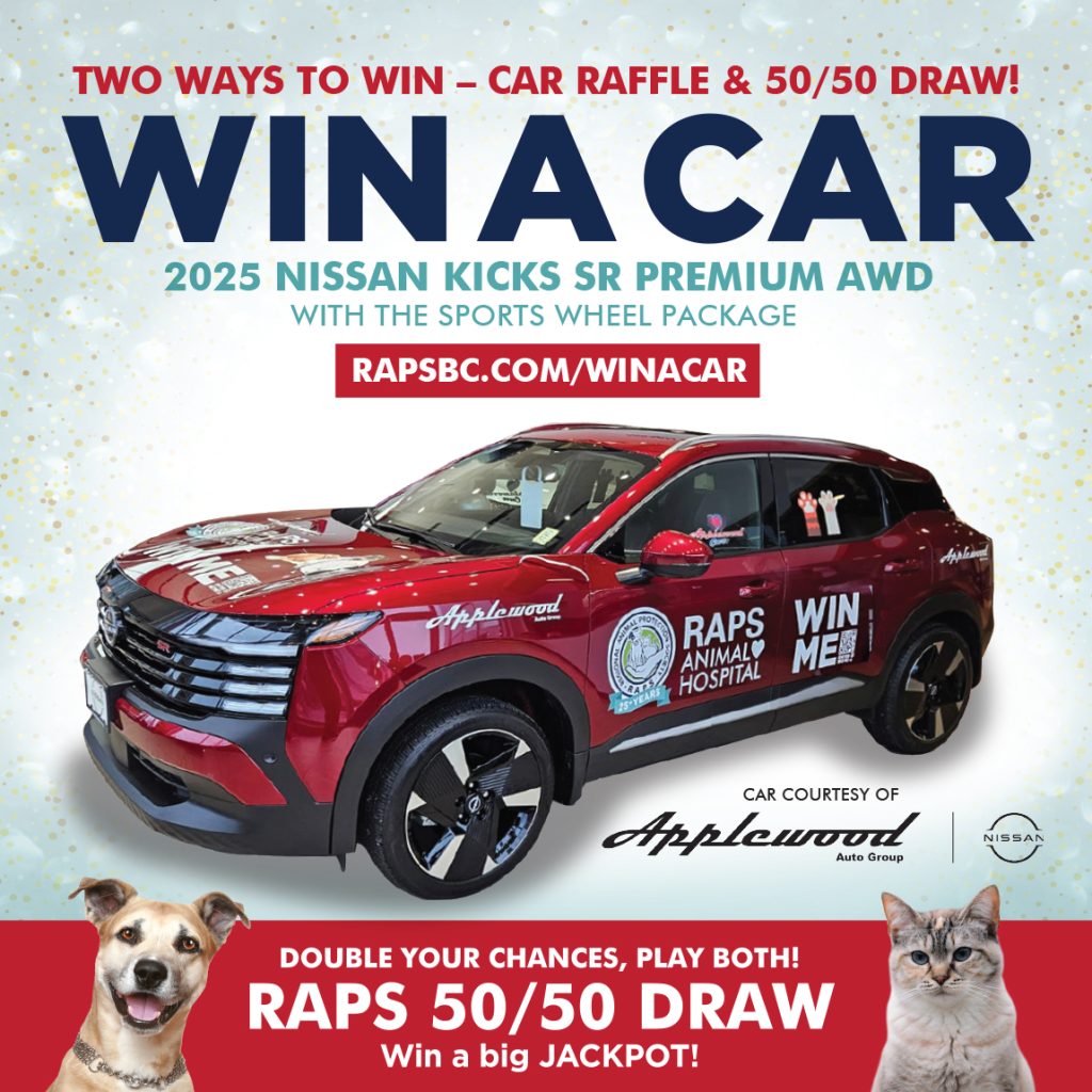 car raffle 2025