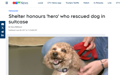 Shelter honours ‘hero’ who rescued dog in suitcase