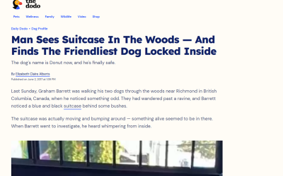 Man Sees Suitcase In The Woods — And Finds The Friendliest Dog Locked Inside