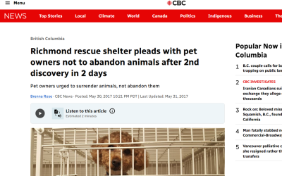 Richmond rescue shelter pleads with pet owners not to abandon animals after 2nd discovery in 2 days