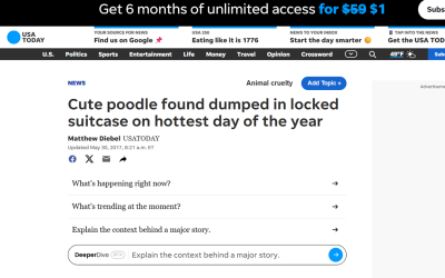 Cute poodle found dumped in locked suitcase on hottest day of the year