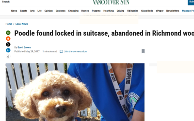 Poodle found locked in suitcase, abandoned in Richmond woods