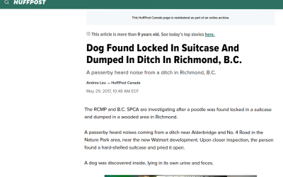 Dog Found Locked In Suitcase And Dumped In Ditch In Richmond, B.C.