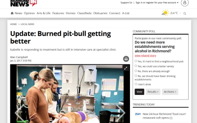 Update: Burned pit-bull getting better