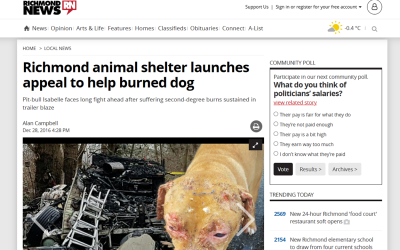 Richmond animal shelter launches appeal to help burned dog