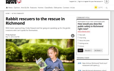 Rabbit rescuers to the rescue in Richmond