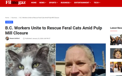 B.C. Workers Unite to Rescue Feral Cats Amid Pulp Mill Closure