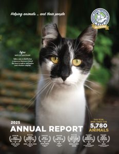 raps annual report 2025