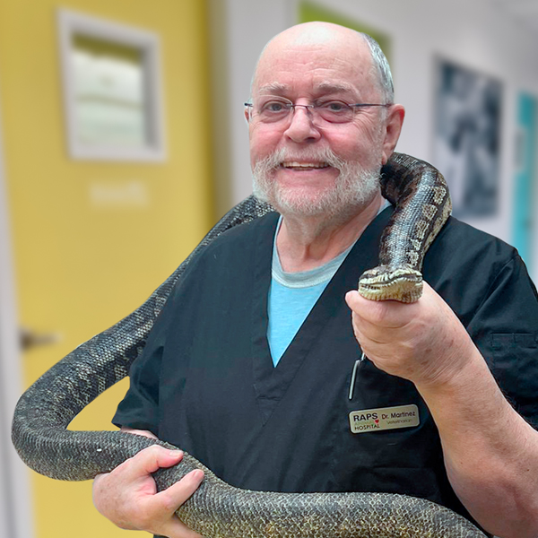 raps animal hospital exotic pets