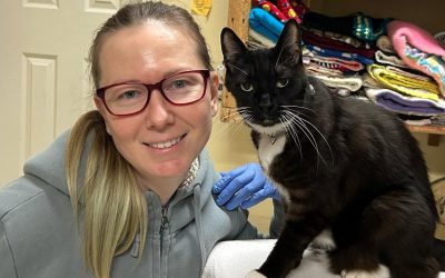 Meet the Volunteer of the Month: Nadia Piatetsky