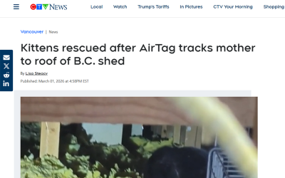 Kittens rescued after AirTag tracks mother to roof of B.C. shed