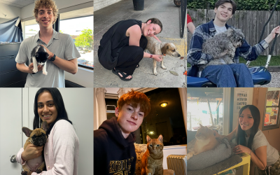 MEET THE INTERNS!