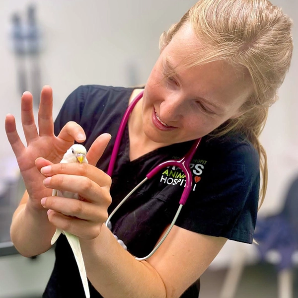 RAPS Animal Hospital Treats Exotic Animals