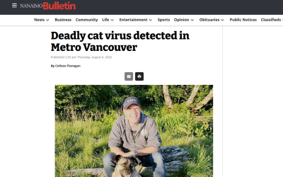 Deadly cat virus detected in Metro Vancouver