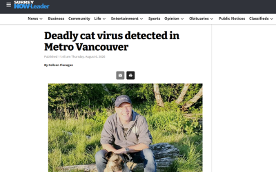 Deadly cat virus detected in Metro Vancouver
